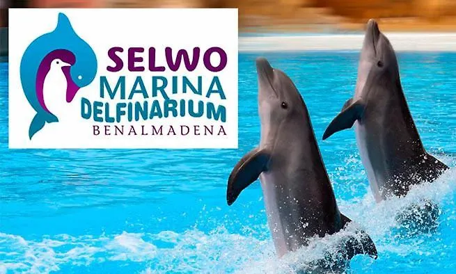 TREBOL Apartamentos Benalmádena Arroyo De La Miel